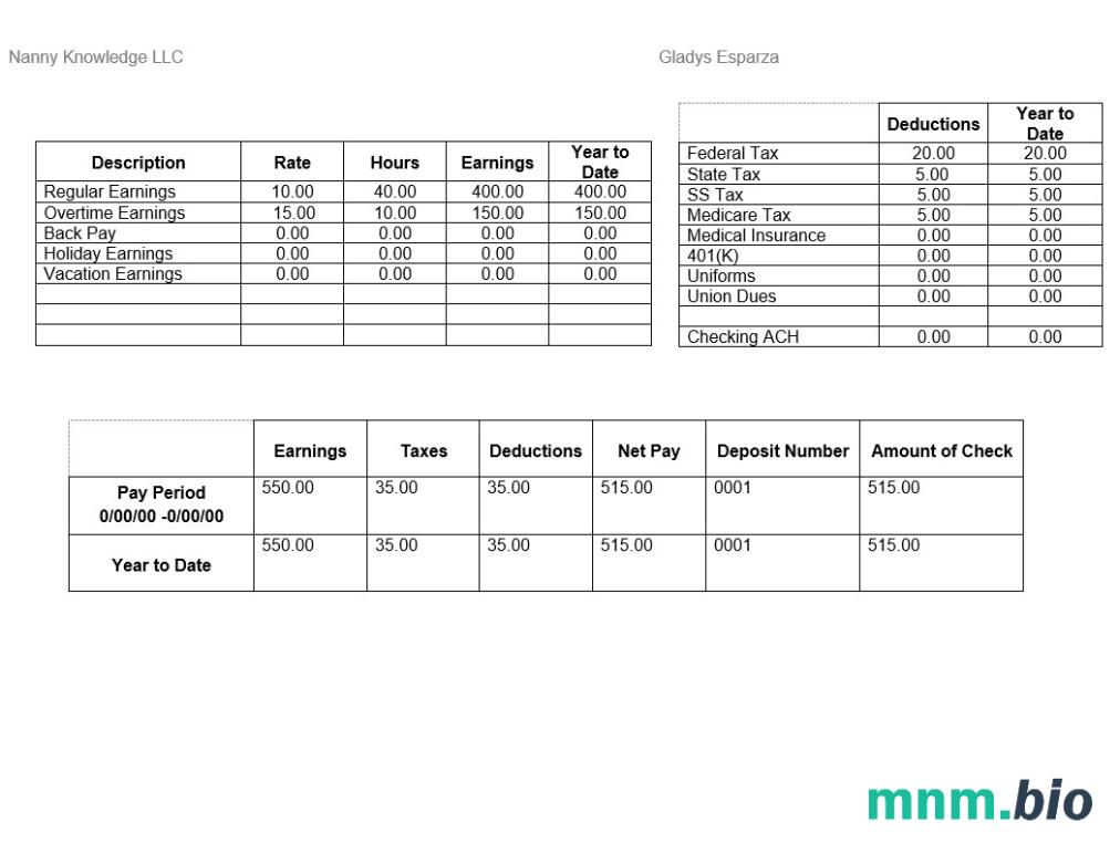Niania Knowledge LLC pay stub Word and PDF template